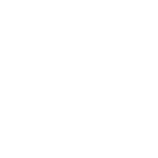 icon white key